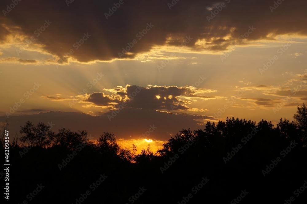 sunset over the field