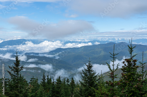Great Smoky Mountains in Autumn Fog from Highest Peak