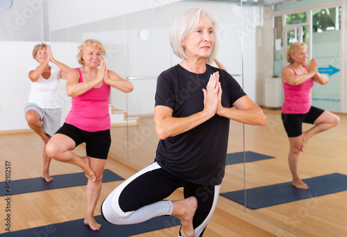 Sporty concentrated mature woman exercising Hatha yoga poses in modern yoga studio with group, performing balancing asana Vrikshasana.