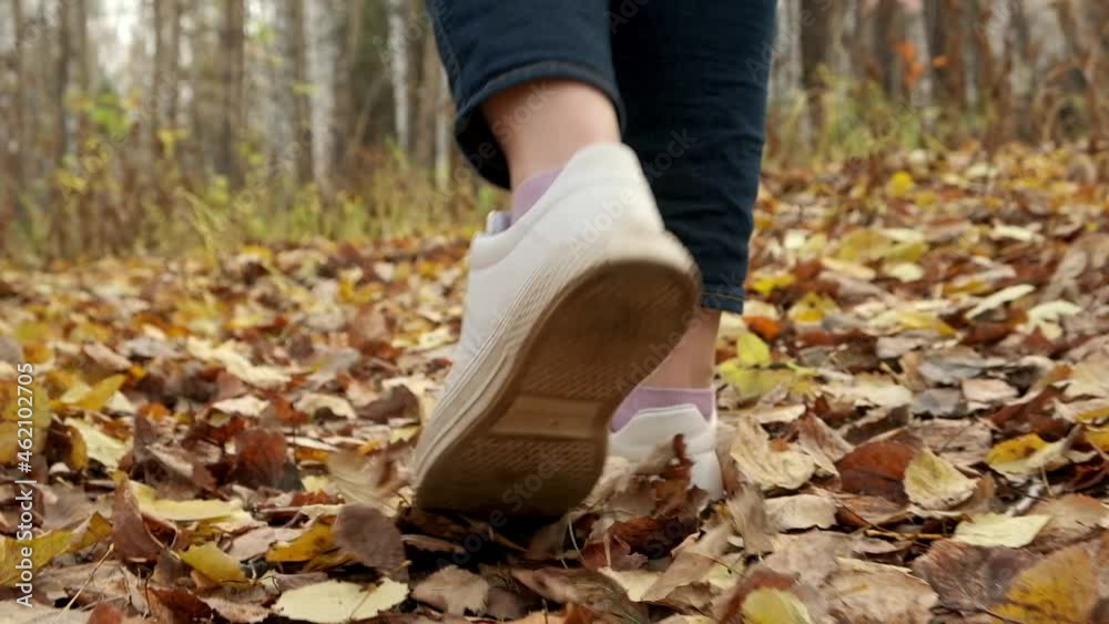 Low view of female feet walking at autumn forest. Close up Slow motion. Low view of female feet walking at autumn forest. Close up Slow motion.