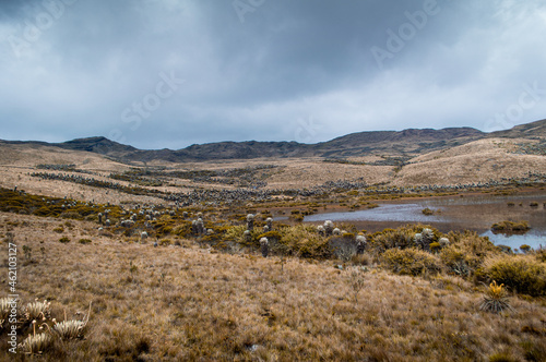 laguna y paramo en medio de las monta  as