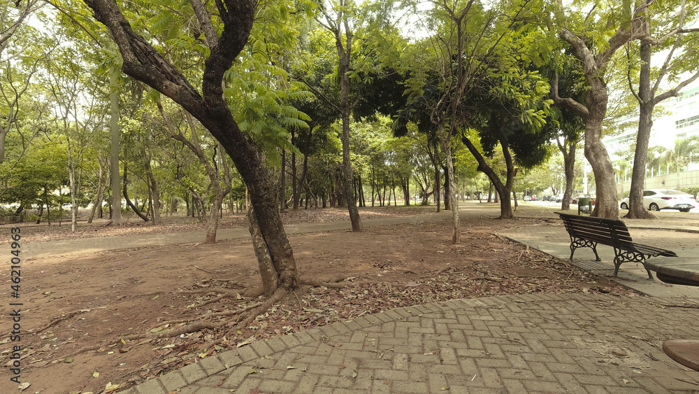 Parque Flamboyant e suas belezas Parque Flamboyant e suas belezas