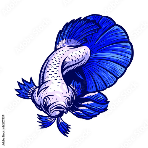 betta fish bluerim illustration