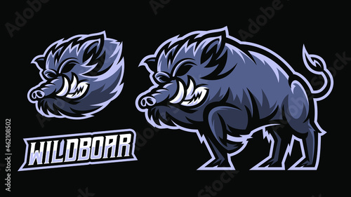 wild boar illustration