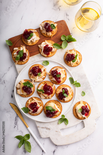 Party appetizers with turkey, brie and cranberry sauce photo
