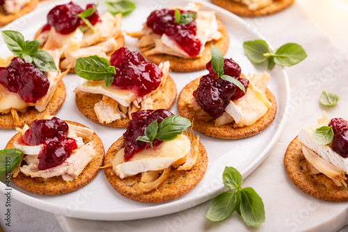Obraz na plátne Party appetizers with turkey, brie and cranberry sauce