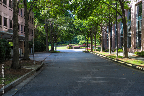 Fototapeta Naklejka Na Ścianę i Meble -  a small street with lush green trees hanging over the street near a parking structure with the sun shining down through the trees at Lenox Park in Atlanta Georgia USA