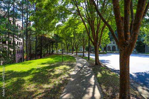 a long curving sidewalk surrounded by green grass and lush green and autumn colored trees along the sidewalk at Lenox Park in Brookhaven Georgia USA photo