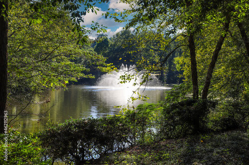 a gorgeous shot of a majestic water fountain in the middle of still lake water with lush green and autumn colored trees and plants reflecting off the lake water with blue sky and clouds at Lenox Park photo