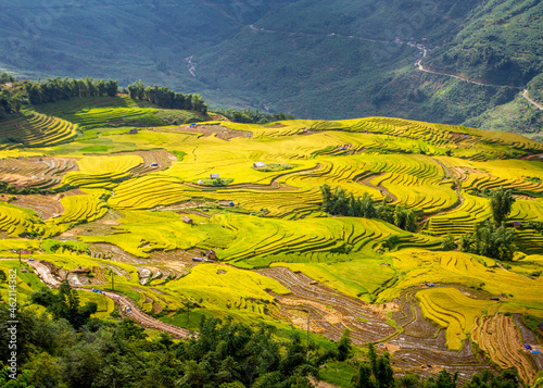 Beauty of rice terraces in watering season in Vietnam.