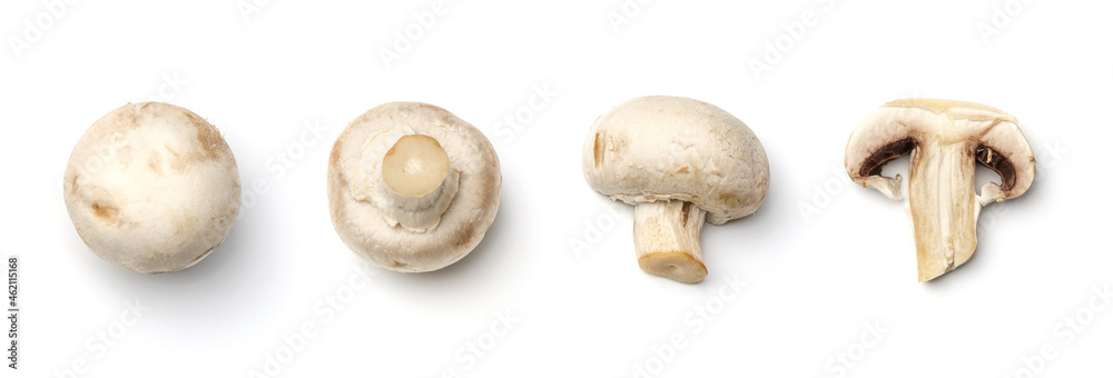 Collection of champignons isolated on white background Collection of champignons isolated on white background
