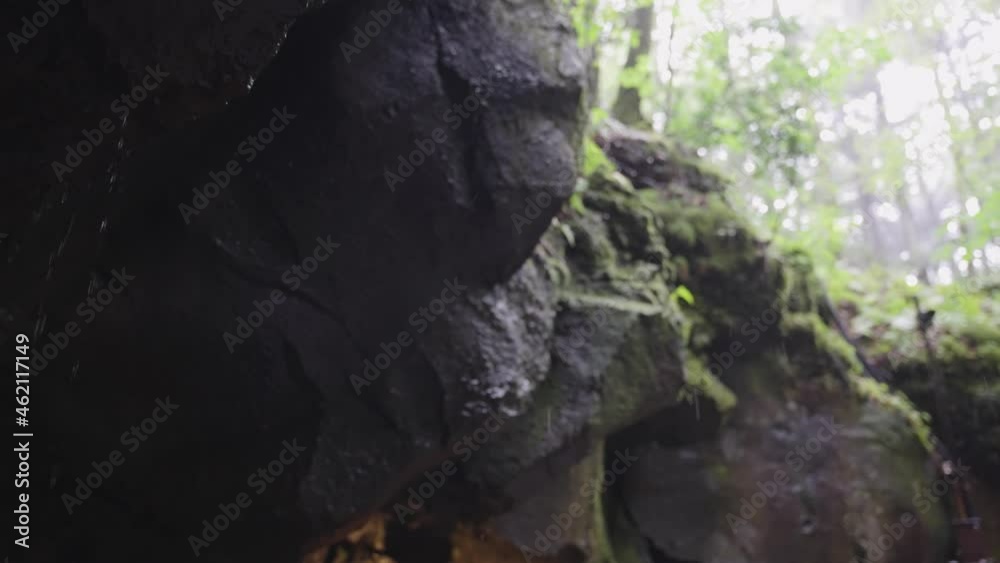 Lava tube caves in Aokigahara Jukai Forest, Japan Lava tube caves in Aokigahara Jukai Forest, Japan