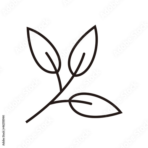 Icon sprigs of tea. Eco food symbol. Leaf of olive, mint. 