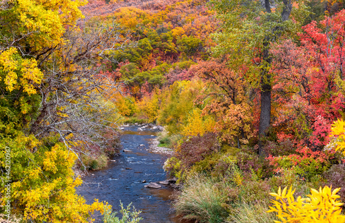 Scenic South Fork Ogden river in Utah surrounded with beautiful color harmony of fall foliage