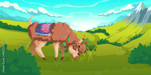 Cute alpaca grazes on meadows in peruvian mountains. Vector cartoon illustration of Andes landscape with snow rocks, green grass and funny llama. Guanaco in Chile highland