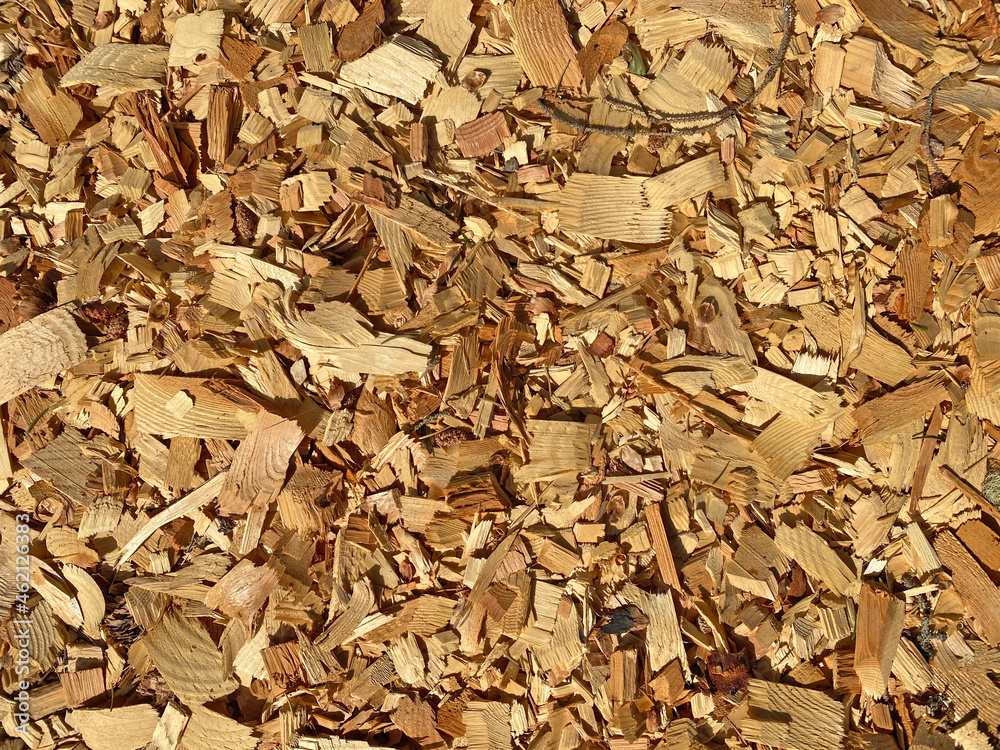 fresh cut natural wood chips ground cover shavings sawmill debris fresh cut natural wood chips ground cover shavings sawmill debris