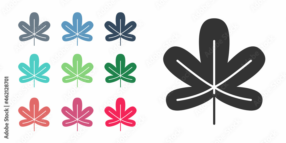 Obraz premium Black Chestnut leaf icon isolated on white background. Set icons colorful. Vector