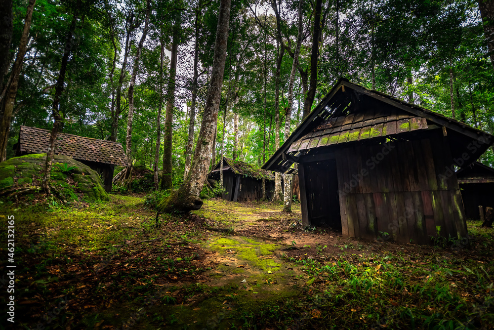 Old wooden cabin , moss on roof in Thailnd forest