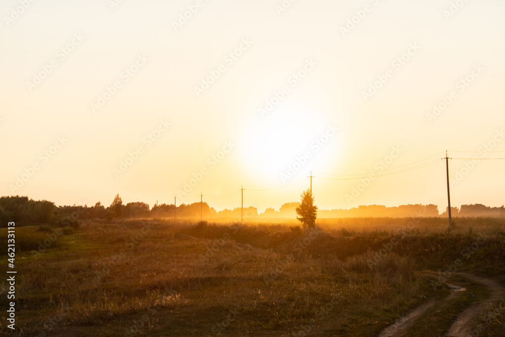Country road in golden lights of beautiful bright sunset