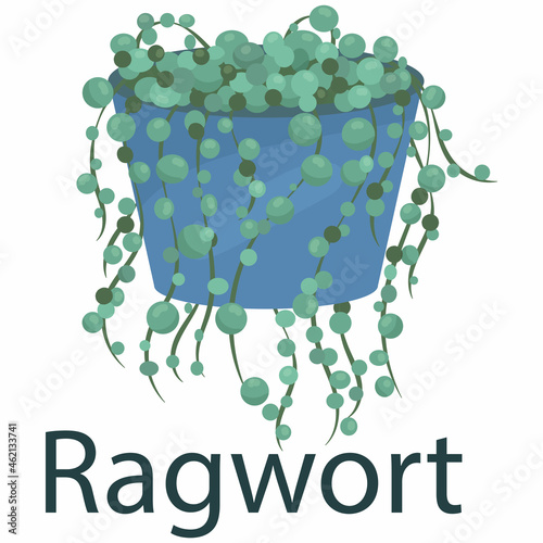 guzmania, houseplant, flower in a pot - vector illustration, element in flat style