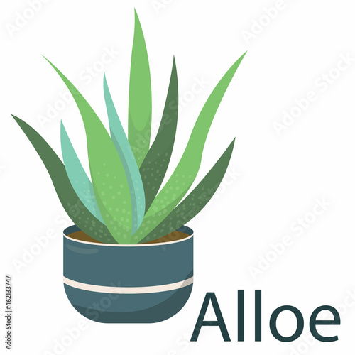 aloe vera, houseplant, flower in a pot - vector illustration, element in flat style