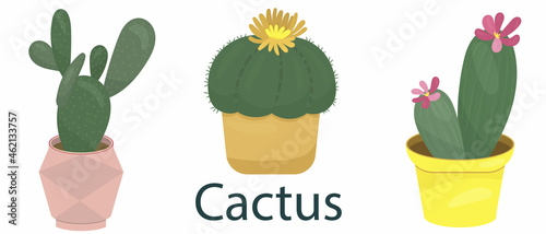 cactus with prickly needles, houseplant, flower in a pot - vector illustration, element in flat style