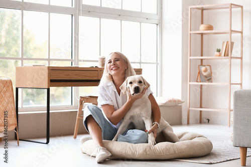 Mature woman with cute Labrador dog sitting on pet bed at home