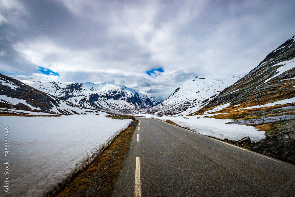 custom made wallpaper toronto digitalroad to the mountains