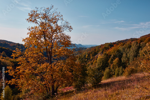 View of countryside hilly landscape in autumn colors.