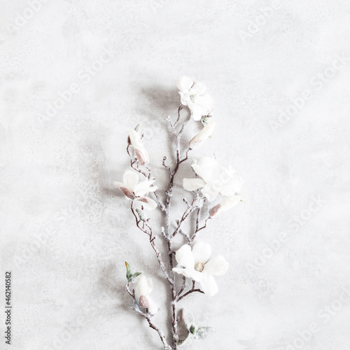 Winter composition. White flowers on gray background. Christmas  winter concept. Flat lay  top view
