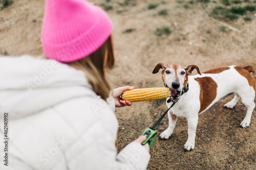 Happy teenage girl hugging and feeding her dog Jack Russell Terrier in a field against the backdrop of a cornfield in autumn photo