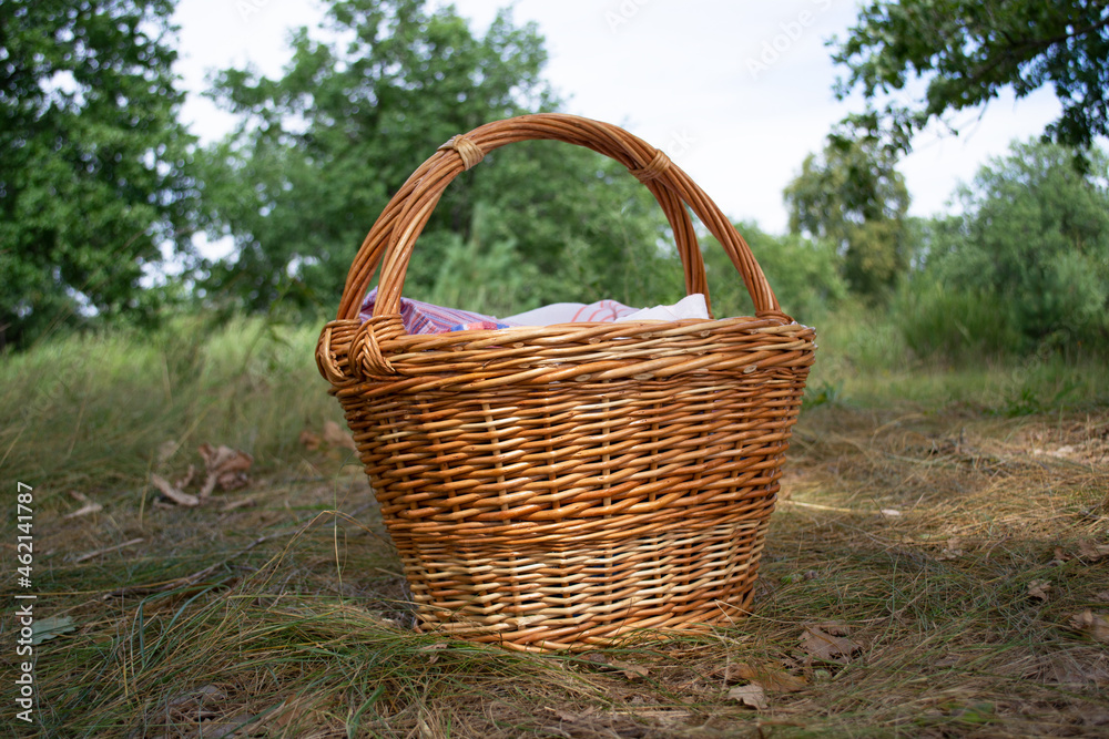 Summer picnic basket on the grass in the forest. Shopping cart close-up. Camping rest Summer picnic basket on the grass in the forest. Shopping cart close-up. Camping rest