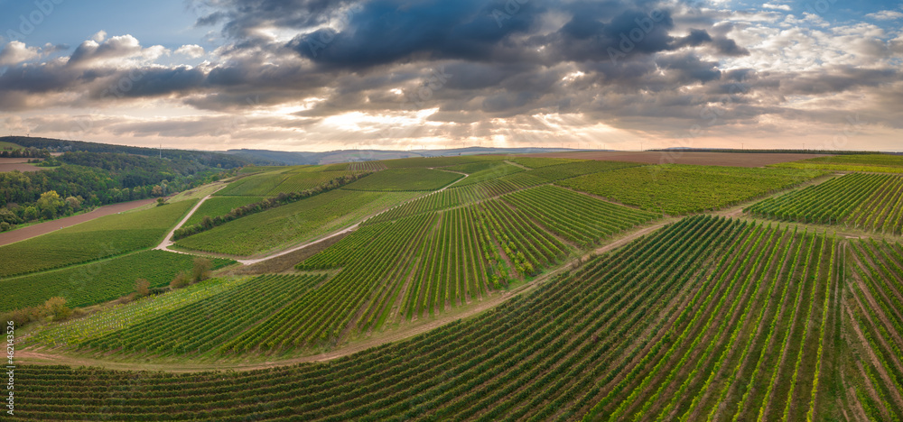 Luftaufnahme Drohnenpanorama der Flonheimer Weinberge in Rheinhessens mit Sonneruntergang und Wolken im Herbst, Rheinland Pfalz nahe Alzey Luftaufnahme Drohnenpanorama der Flonheimer Weinberge in Rheinhessens mit Sonneruntergang und Wolken im Herbst, Rheinland Pfalz nahe Alzey