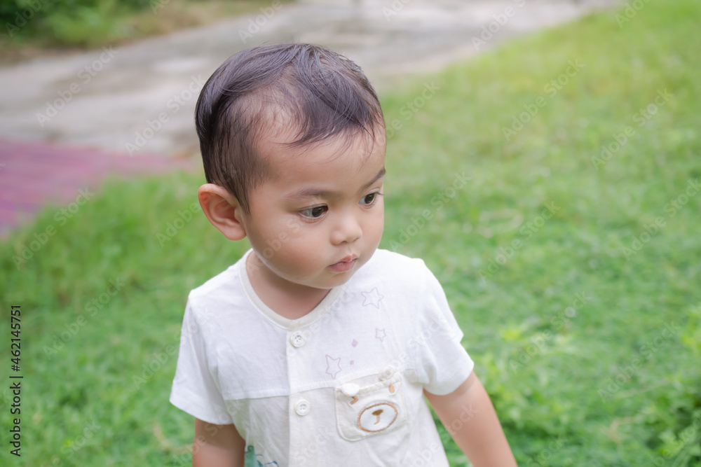 Portrait cute little boy about 2 year olds standing on grass. he happy playing . family rest in holidays or baby's development concept. child asian authentic. Portrait cute little boy about 2 year olds standing on grass. he happy playing . family rest in holidays or baby's development concept. child asian authentic.
