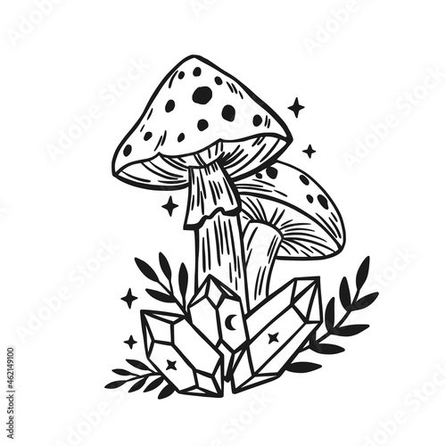 mushroom for witchcraft with leaves and crystal. Vector isolated illustration with fungies for poison.