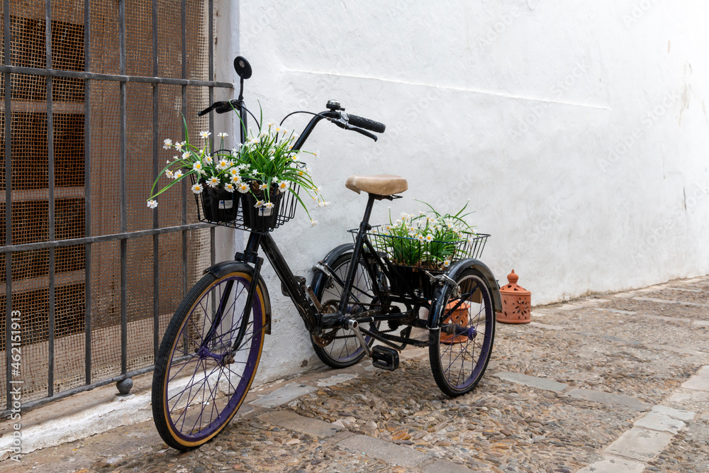 Tricycle loaded with flower pots decorating a street in Vejer de la Frontera, a nice Andalusian town in the province of Cadiz, Spain