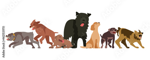 Angry homeless dogs isolated on white background