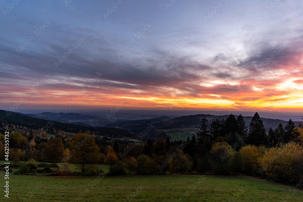 Colorful leaves in the nature and autumn landscape from Bavaria and the Bavarian Forest.