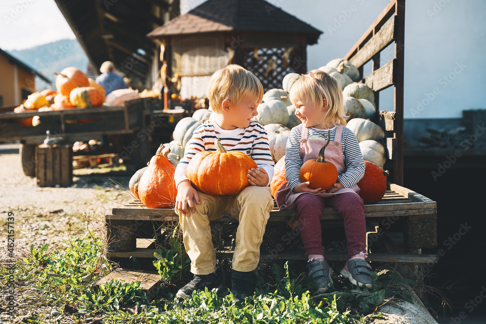 Family with kids at fall season. Preschool children sitting in pile of pumpkins at local farm market and picking pumpkin on Halloween or Thanksgiving holiday. - obrazy, fototapety, plakaty 