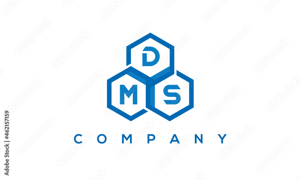 DMS three letters creative polygon hexagon logo