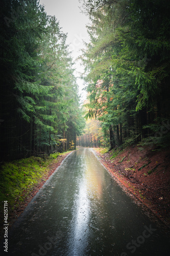 Colorful leaves in the nature and autumn landscape from Bavaria and the Bavarian Forest.