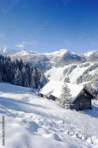Scenic mountains and alms on snow during winter in Salzburger Land, Austria