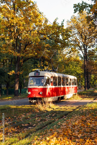 Kyiv, Pushcha-voditsa, october 10, 2021. Red retro tram goes along the route through the autumn forest. Atumn landscape with tram.