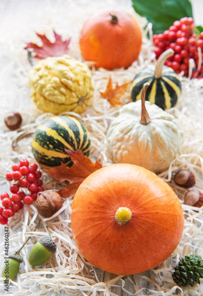 Autumn composition, cozy fall season, pumpkins and leaves Autumn composition, cozy fall season, pumpkins and leaves