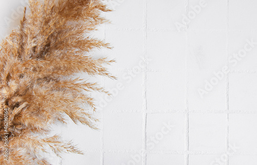 Flatlay of pampas grass on tile background photo