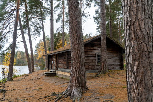 old wooden house, wooden house in the forest by the water, autumn