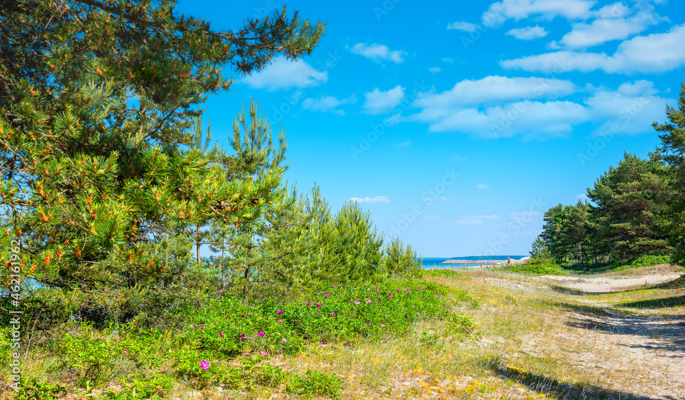 Baltic seaside at Valkla. Estonia