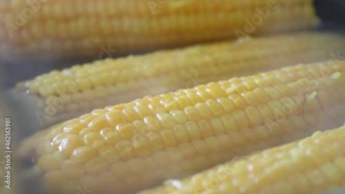 Wallpaper Mural Cooking natural corn vegetables, close up of corn boiled in water 
 Torontodigital.ca