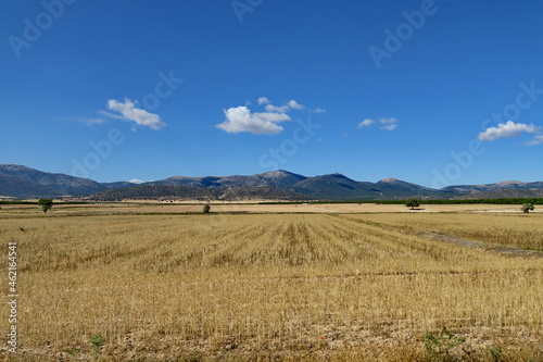 Montagnes et plaines. Champs cultiv  s. Andalousie. Espagne.
