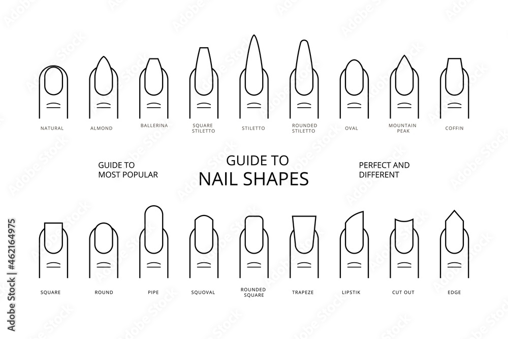 Stockvektorbilden Guide to most popular perfect and different Nail Shapes  with names. Vector Stock Set Icons. | Adobe Stock